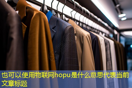 物联网hopu是什么意思